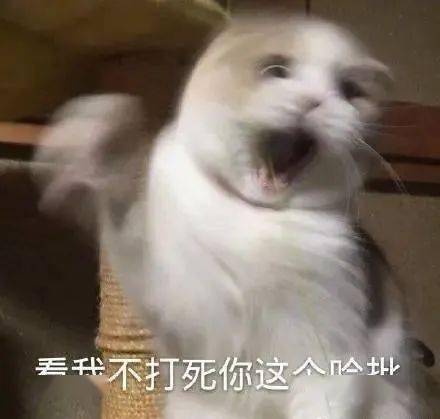 "教男朋友婊里婊气的骂人?"xswl