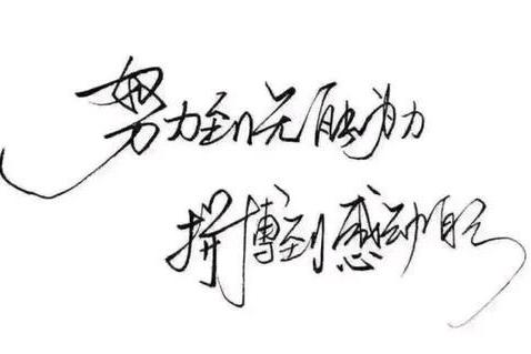 墨西哥网红在tiktok发行首支新单曲:坚持为梦想奋斗