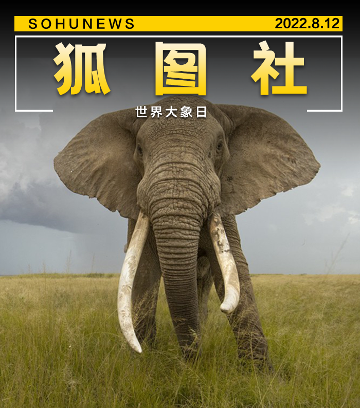 1604bfa7712a46cda193436db58d88ed.png