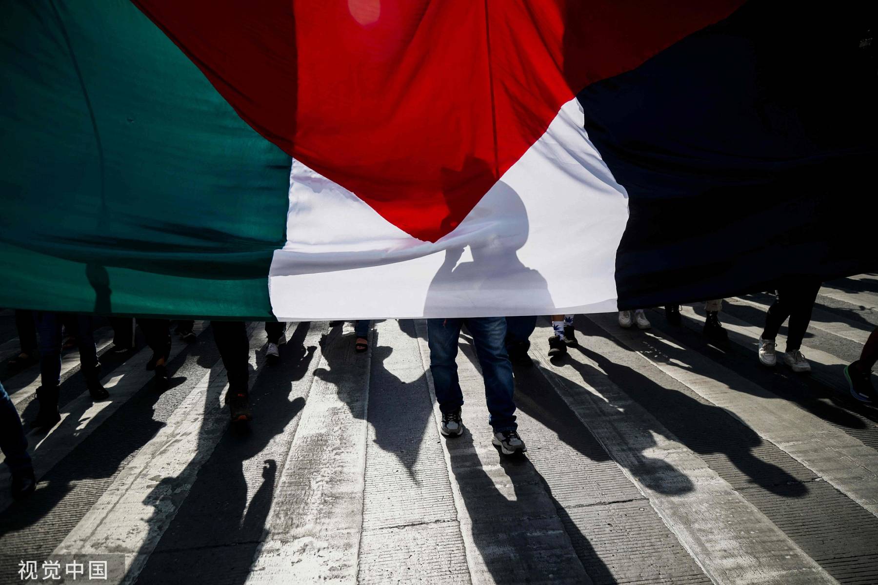 多国举行示威游行声援巴勒斯坦人民
