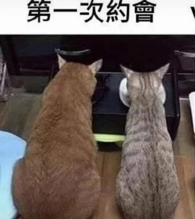 52d583cec37945ae9e9c1a3834bf5e58.jpeg