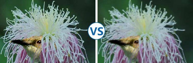 B站视觉创造胃口暴涨，4K超高清画质或将霸屏5G时代