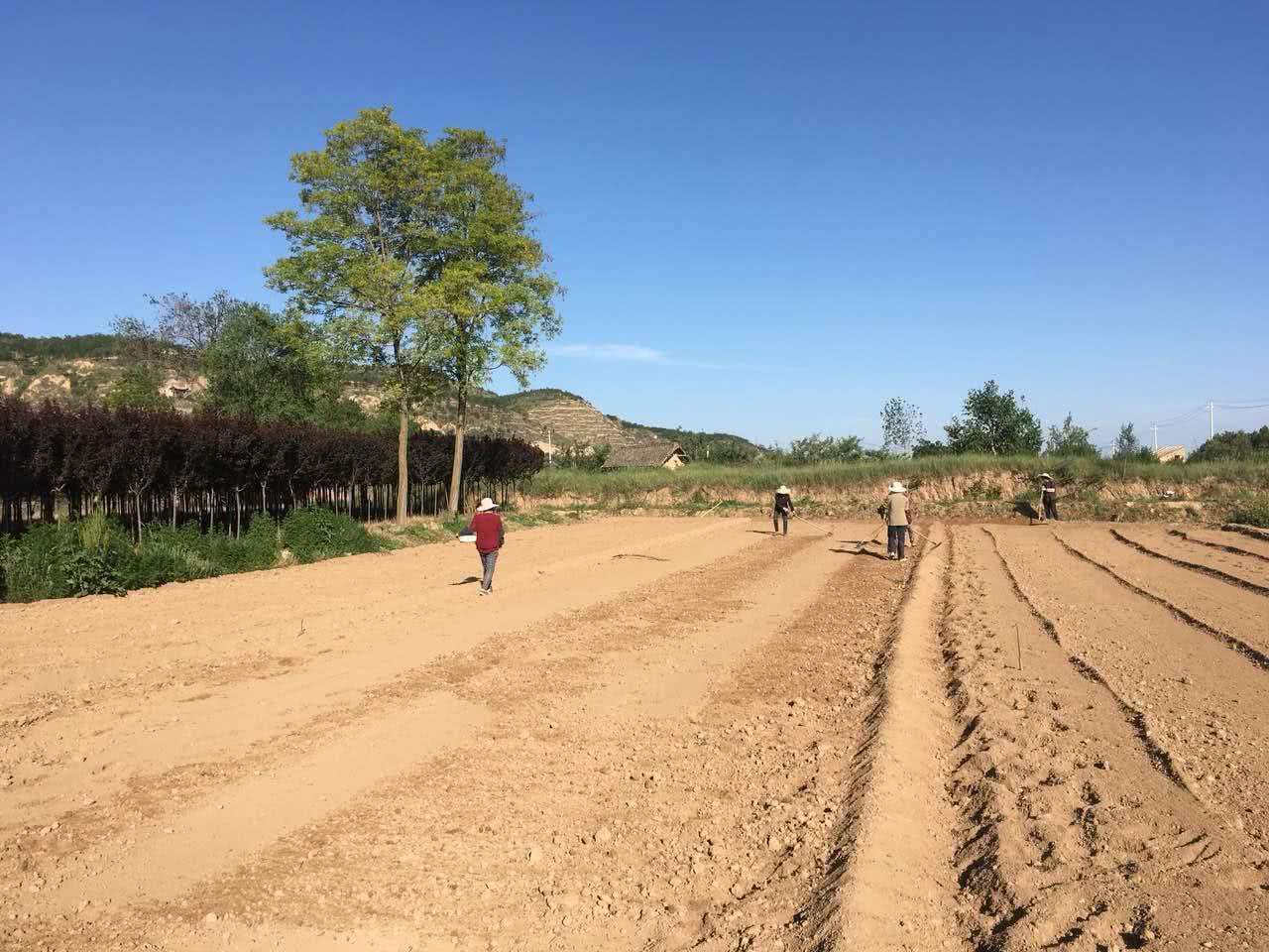 敦煌GDP人均_敦煌飞天(3)