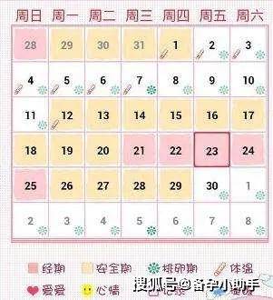 备孕女性监测排卵的3个窍门！