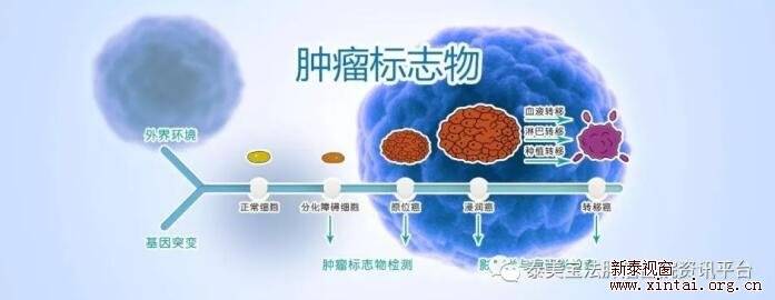 肿瘤资讯|肿瘤标志物升高≠患癌!