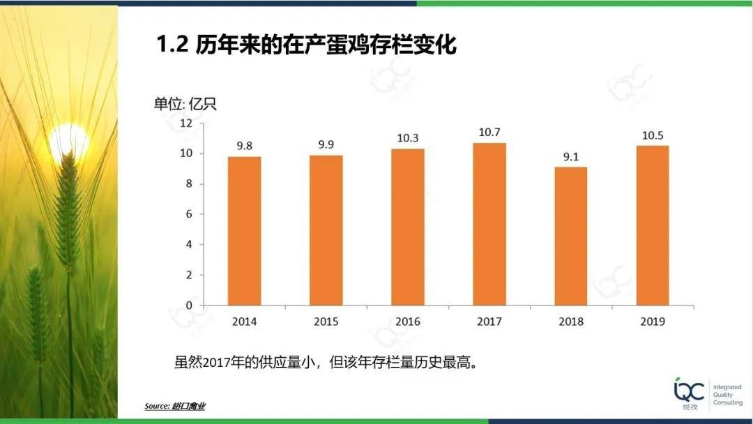 鸡蛋人均消费_鸡蛋卡通图片(3)