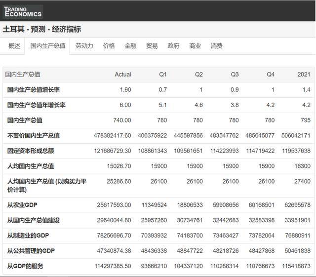 土耳其经济总量2020_土耳其热气球(2)