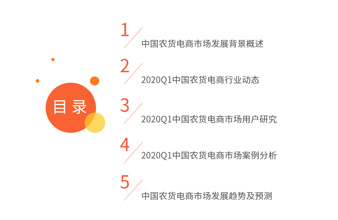 2019贫困人口人均收入_2021消灭贫困人口(3)