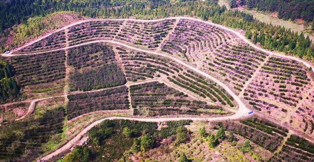 宁化pK石城GDp_宁化客家祖地图片