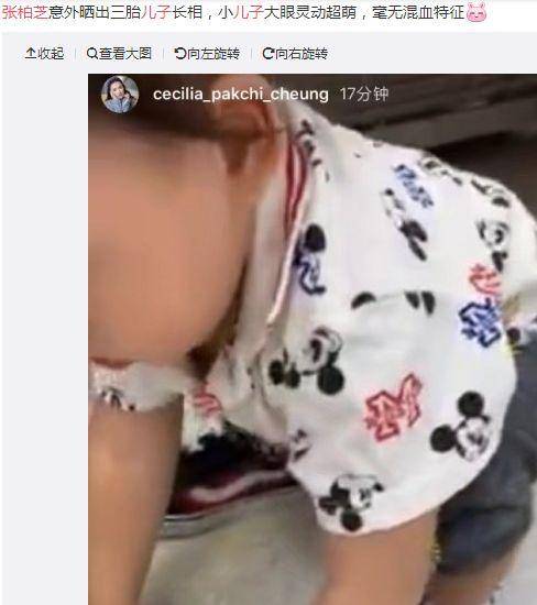 张柏芝带三个儿子泰国去度假，卢卡斯带着弟弟玩水，网友：家庭太复杂了