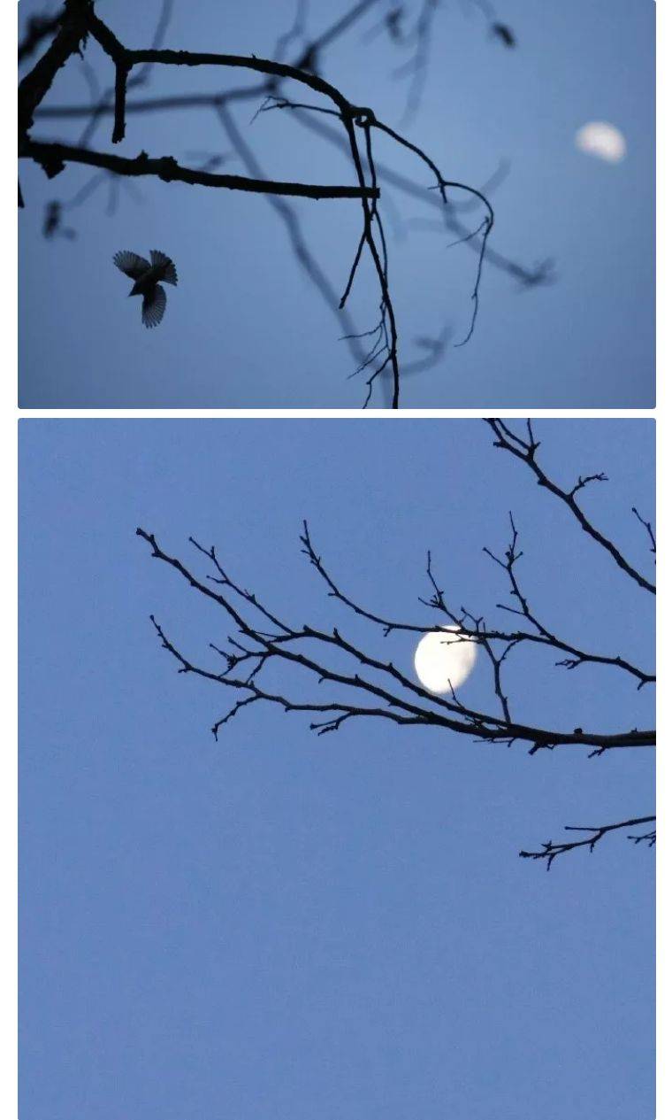 空山松子落,幽人应未眠.