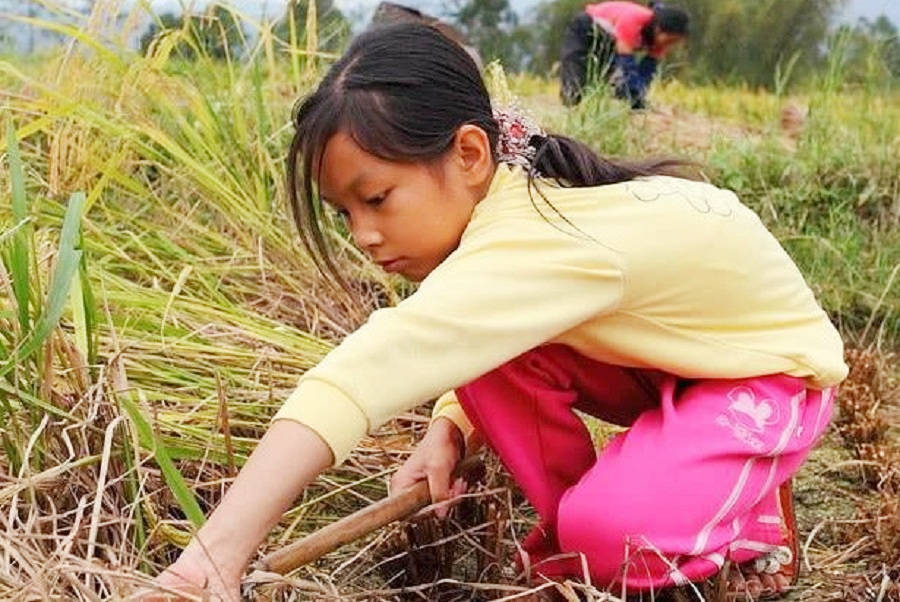 人精是什么意思