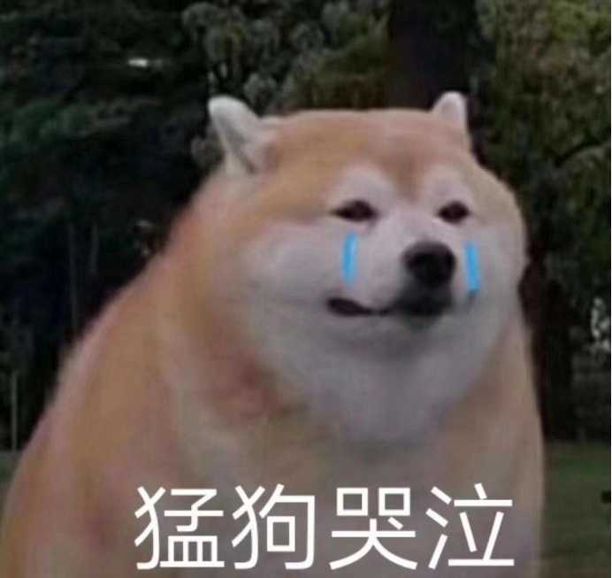 9325572deb3e4f588e468f5a40b0feef.jpeg