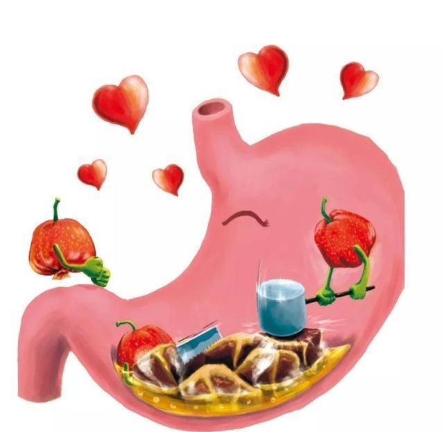 胃是我们重要的消化器官,也可以说是我们所吃食物的一个主要加工厂.
