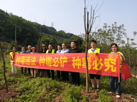 "点""线""面"结合 江津区大力开展禁种铲毒宣传