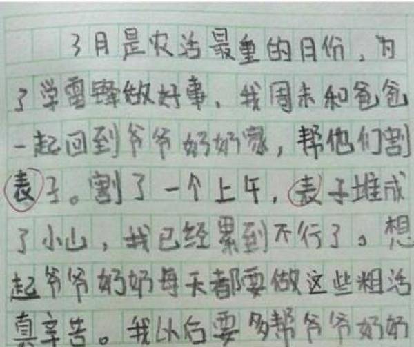 46ae80b5465a490b880d2066f8a81aab.jpeg