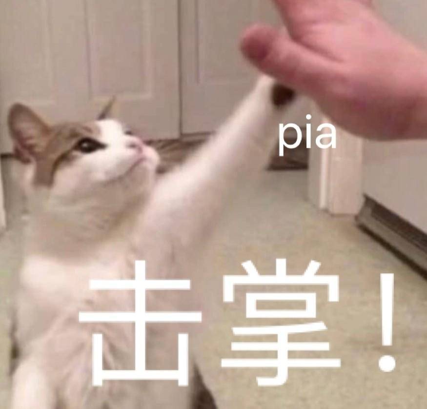 搞笑可爱表情图|专业按摩来一套