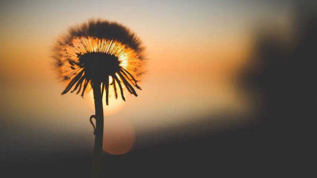 怎么才能让自己的心变得更大 199d0f673916490cb78af8581ebb3bdf.jpeg