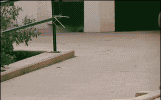 搞笑gif:夏天到了,想不想一起去海边玩呢?