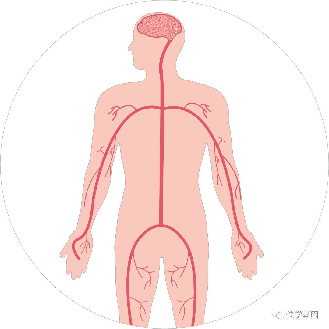 渐冻症人口_渐冻症图片