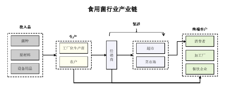 食用菌市场研究主导全球70以上产量的食用菌工业化种植却不足10