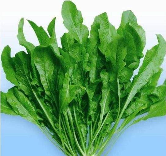 原创乳腺癌患者可以吃荠菜吗! 芥菜能预防乳腺癌吗!