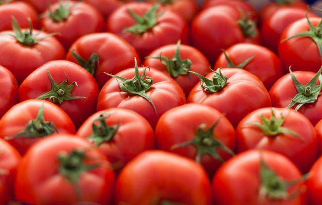 原创为了验证西红柿该保存在室温还是冰箱他们请了一堆西红柿品鉴师