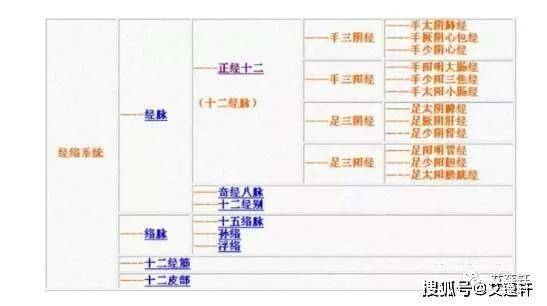 人体脏腑气血运行图!