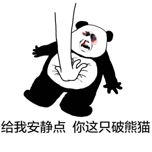 搞笑斗图表情包:给我安静点小熊猫,不要搞事情