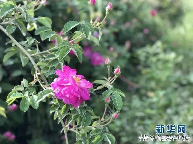 191d08cb017a4409a06f44e7688b58e3.jpeg