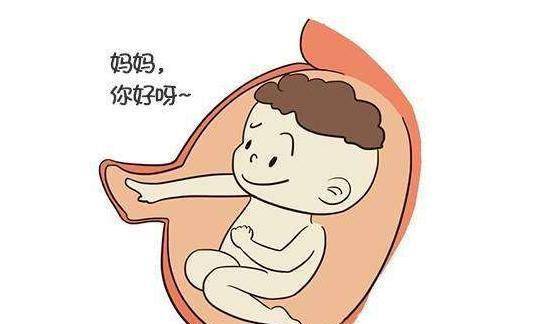 什么原因导致胎儿脐带绕颈 ddb38351d26c4324bb3dd7782f254818.jpeg