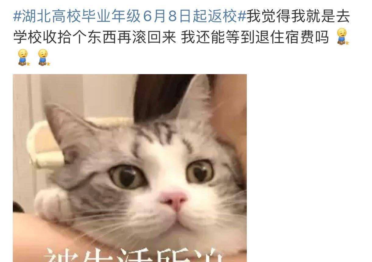 湖南高校非毕业班不返校！关于网课、住宿费有什么消息？