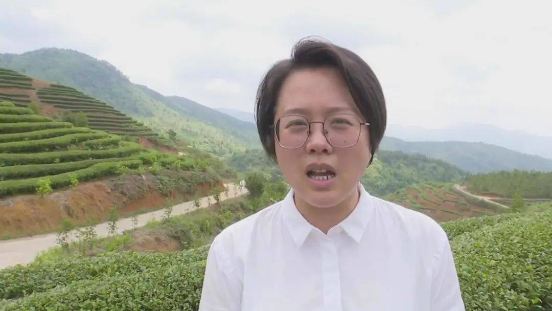 宁德古田伴着茶香的青春