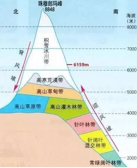 南极惊现绿雪,海象集体跳崖,2200万人流离失所...