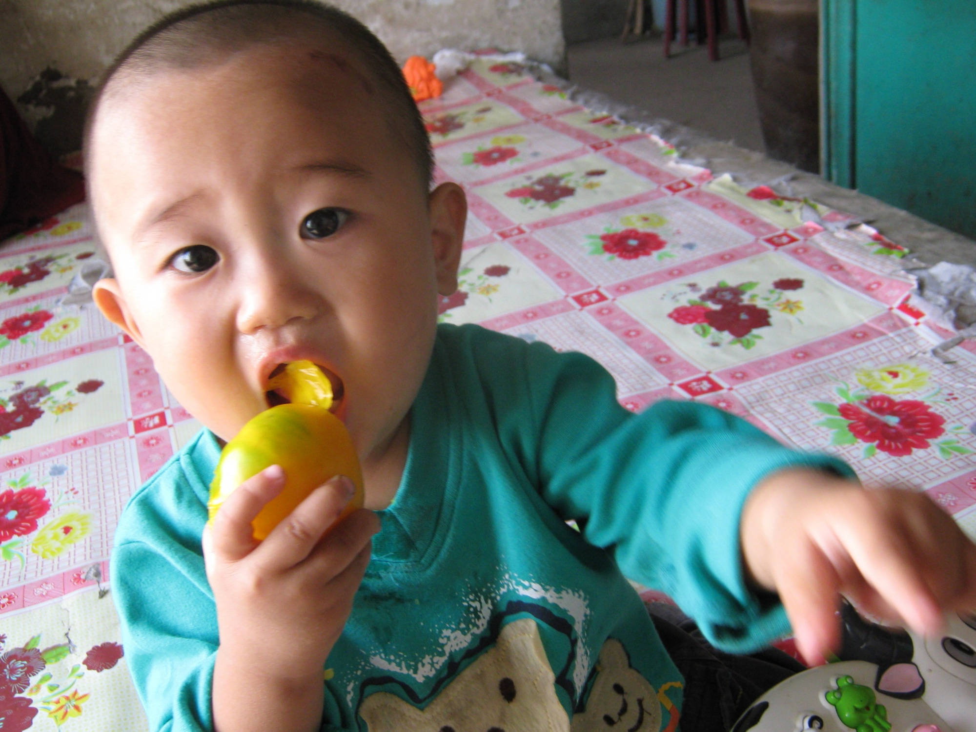 婴儿怎么吃樱桃 297723fbc6fd456eabca6c97461d02cf.jpeg