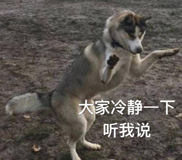 甩头哥是什么意思 6ebd68dc814a4151939eebeb38045ddb.jpeg