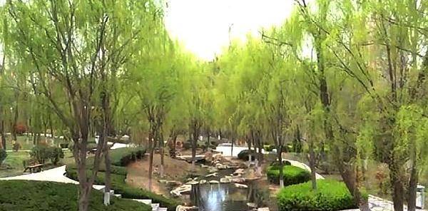 山东这两所学校虽然不是985、211，但深受当地学生喜爱！