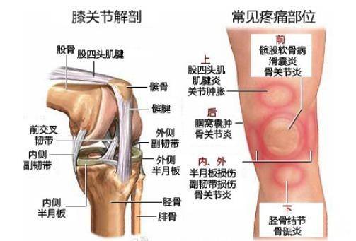 膝盖运动损伤怎么办