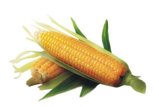 3cce202743614dc992621c92e3e1e172.jpeg