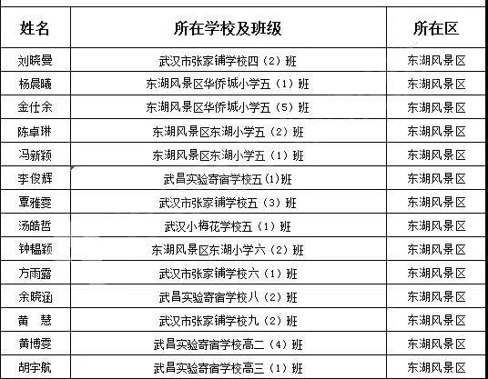 武汉市15个区优秀学生名单全部出炉快看有你认识的没