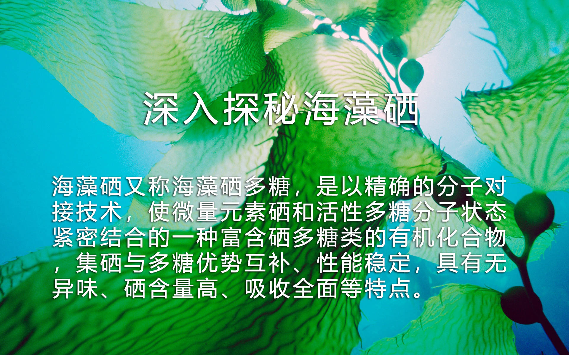 93928d253b984c1a97920b3acd615ba3.jpeg