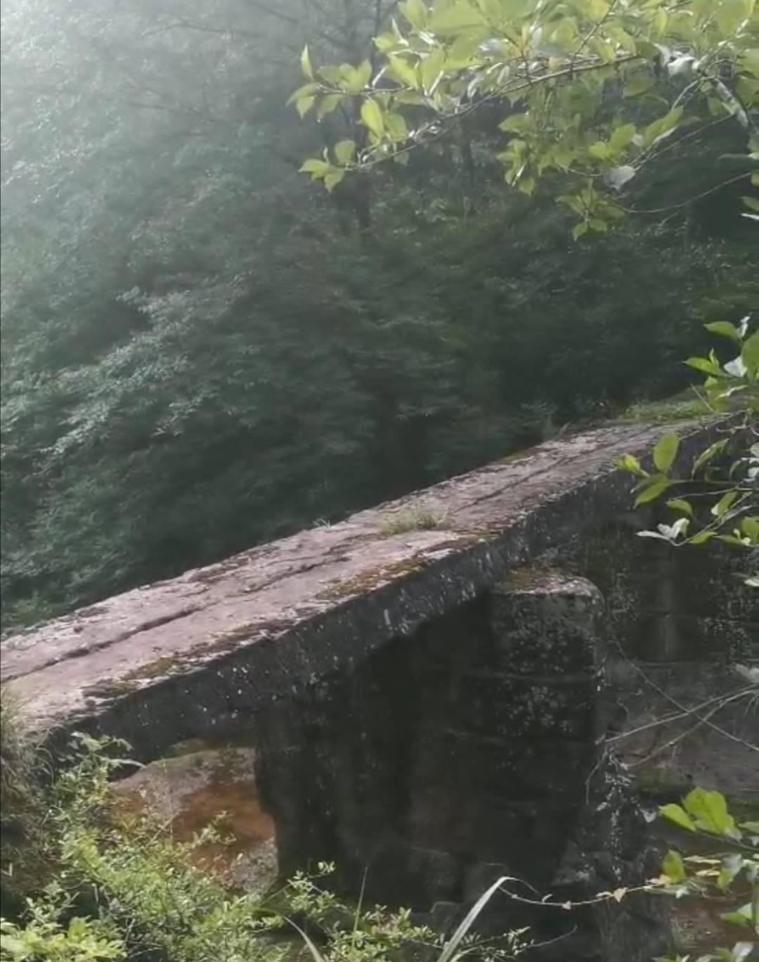 蓬安白云寨国家森林公园旅游景点罗家高坑乾隆石拱桥平桥