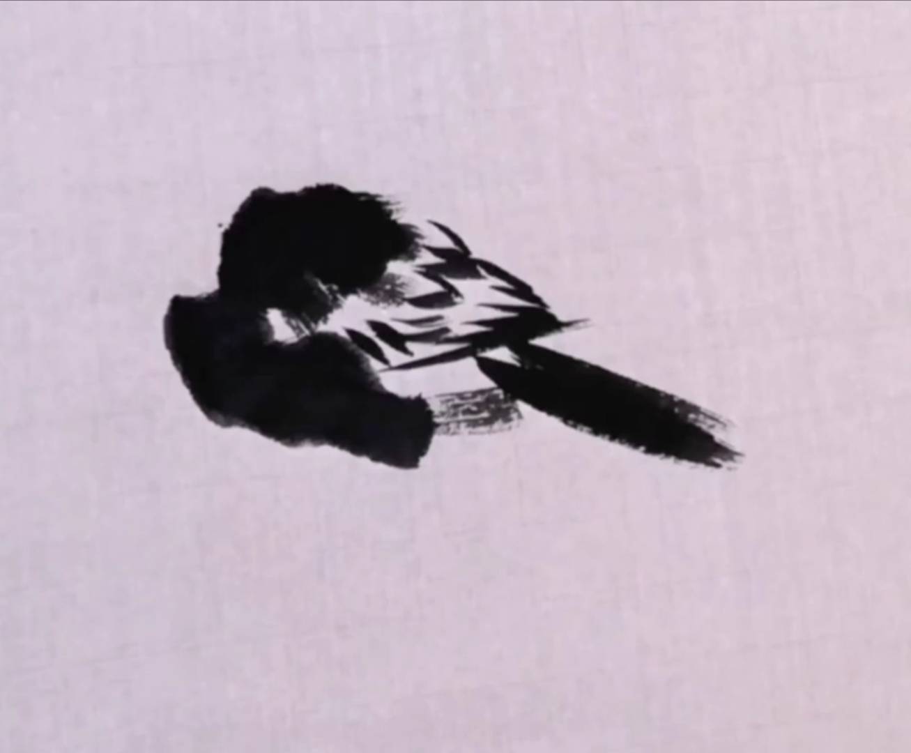 国画写意水墨鸟技法,笔法干练,精致教学步骤