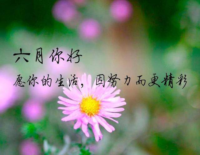 五月再见,六月你好的句子,六月,宜可爱,宜快乐