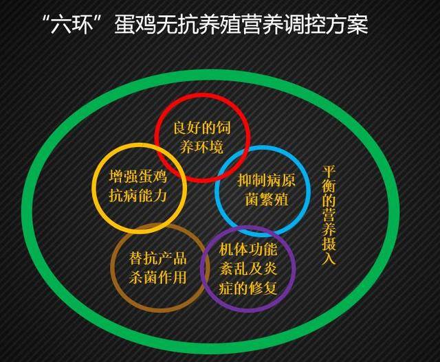 无抗养殖蛋鸡特点 6d99a164625c4e6080f2748e8a5a3db6.jpeg