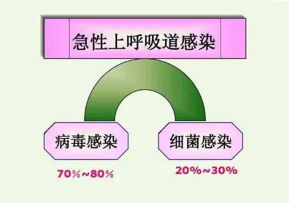 科普小知识做好这几件事轻松预防上呼吸道感染