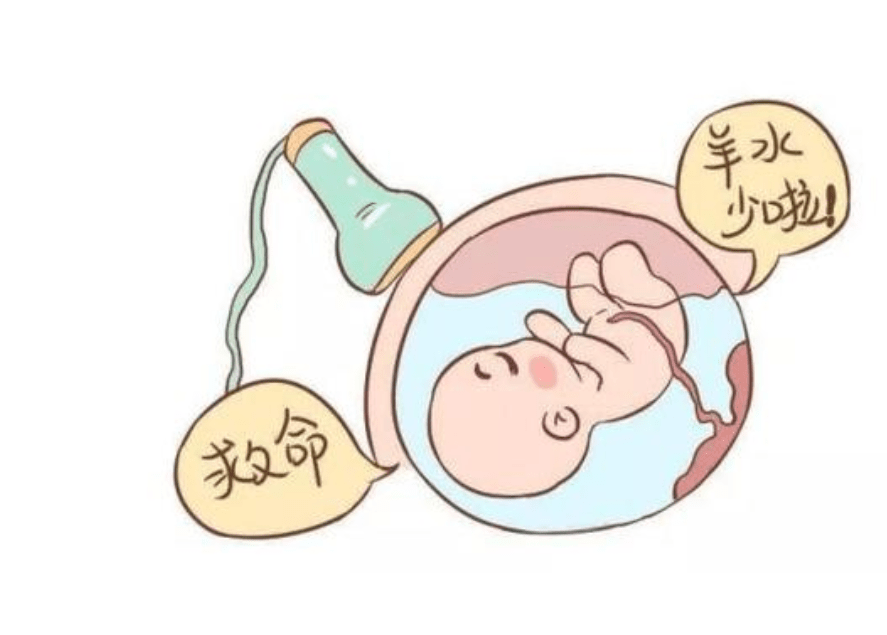 孕妈要注意！孕期出现这6种迹象，可能胎儿发育异常，别不当回事阿朵当街喂奶