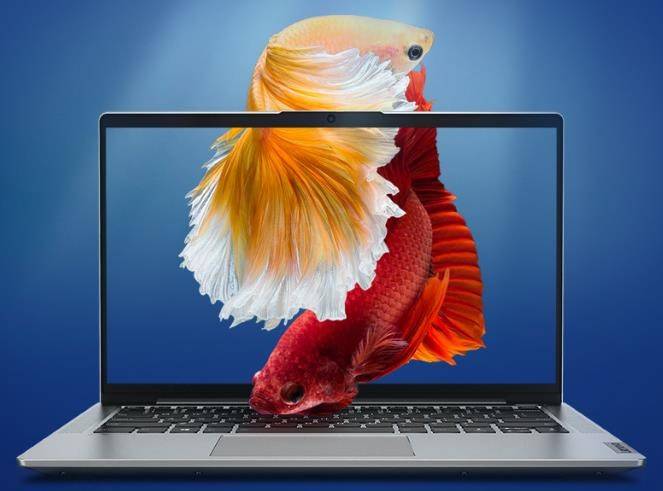 1小时全网销售额破5亿元，联想618开门红斩获六冠王