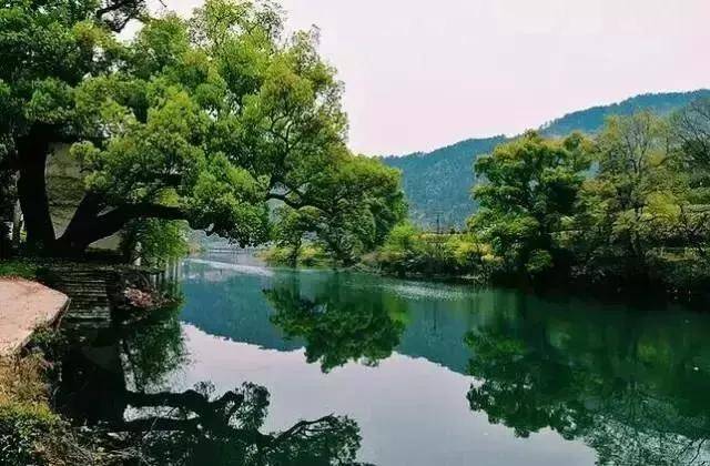 良好的生态条件和气候条件是乡村康养成功发展的基础.