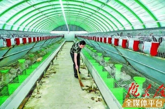 三嘉乡人口_人口普查